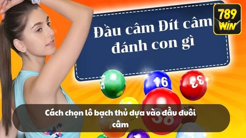 Cách chọn lô bạch thủ dựa vào đầu đuôi câm